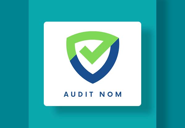 Audit Name