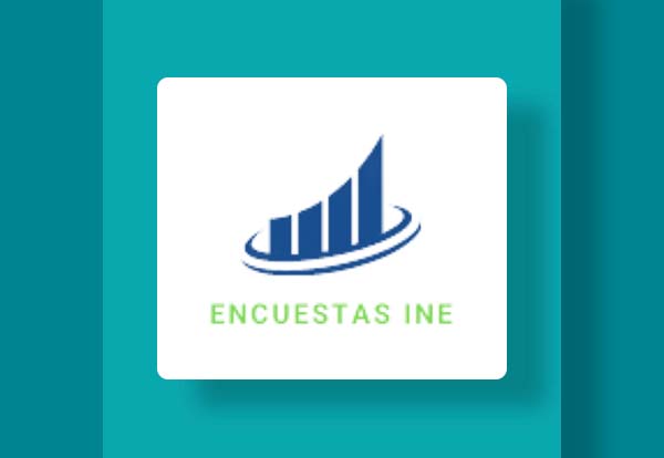INE surveys