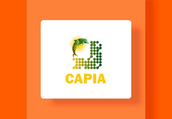 CAPIA, control de pagos y cobros