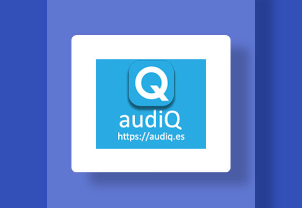 audiQ, software de auditoría