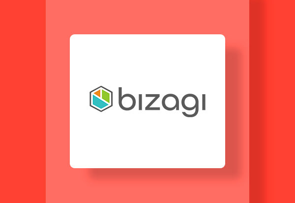 Bizagi